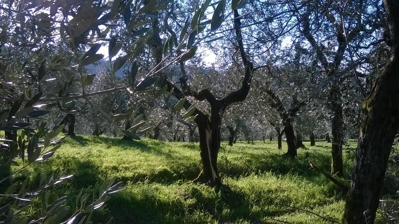 Villa Pacinotti Pistoia Exterior foto