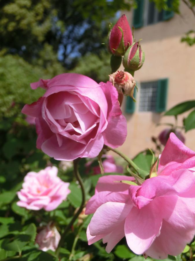 Villa Pacinotti Pistoia Exterior foto